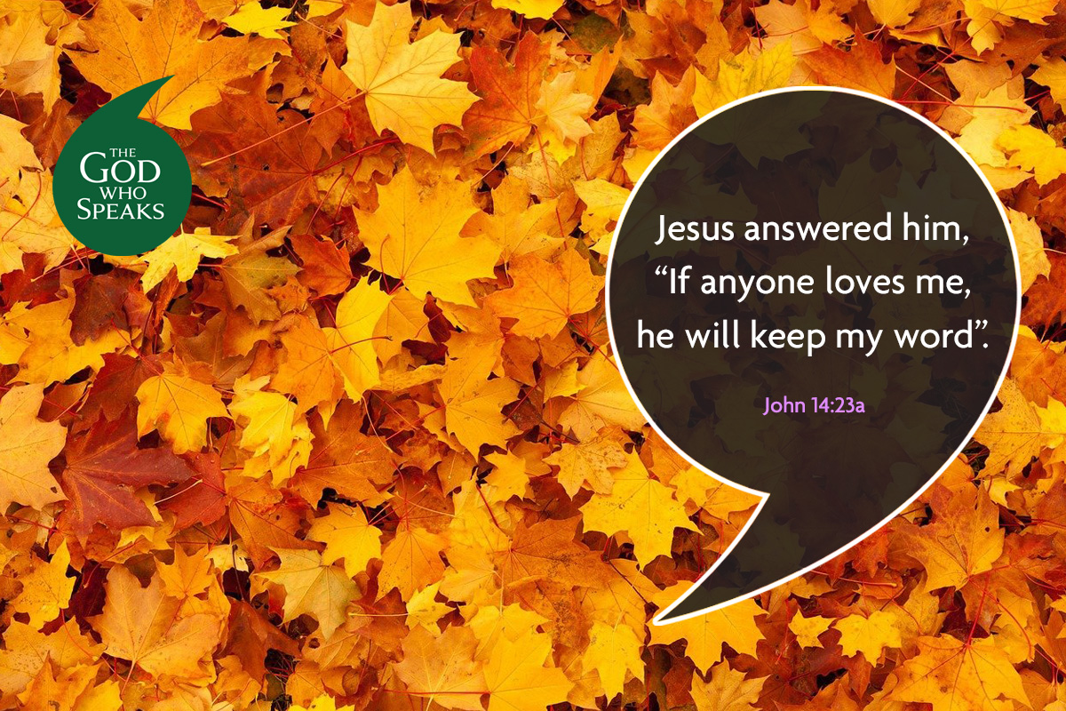 The Year of the Word St Josephs Roman Catholic Primary Goodson Road