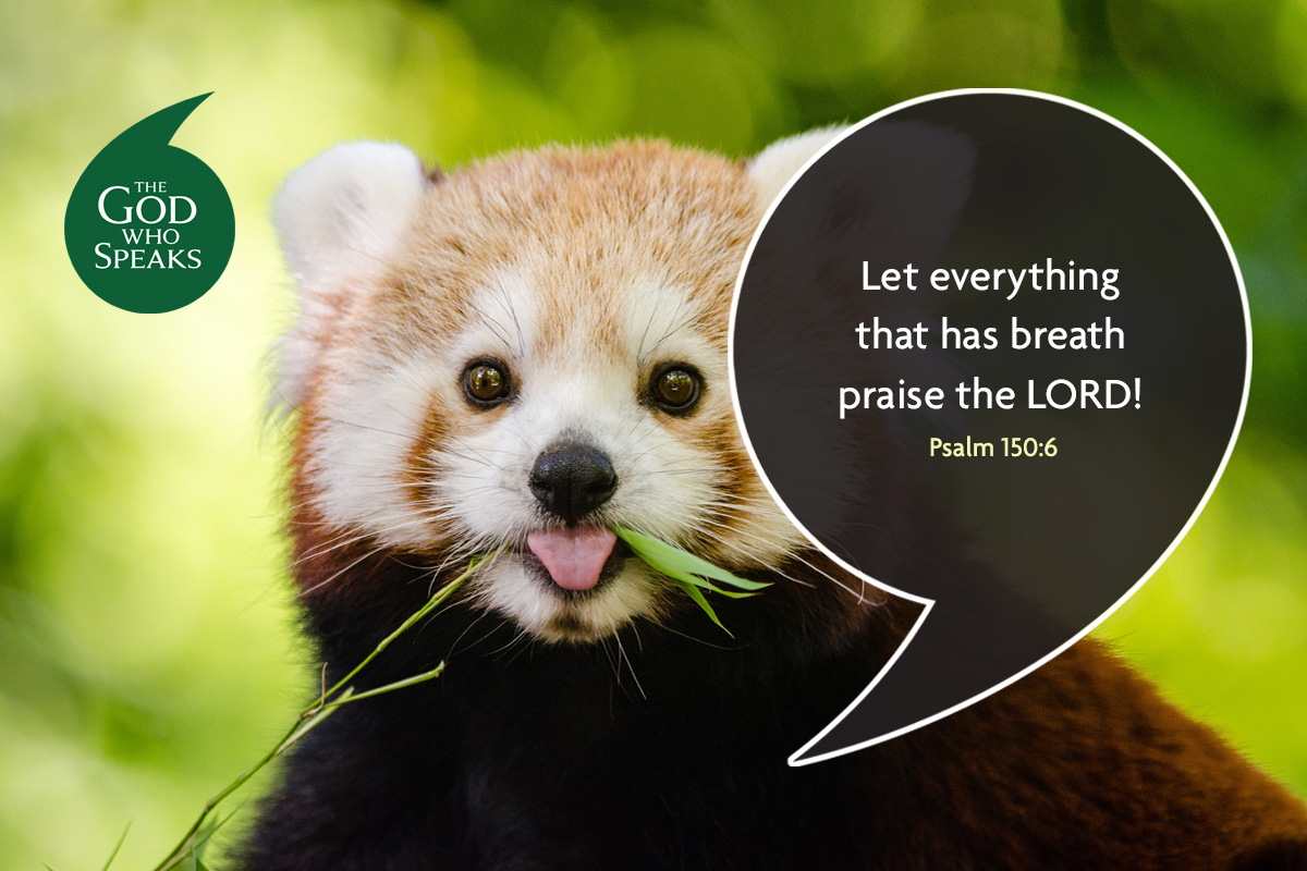 Church Initiatives St Josephs Roman Catholic Primary Goodson Road