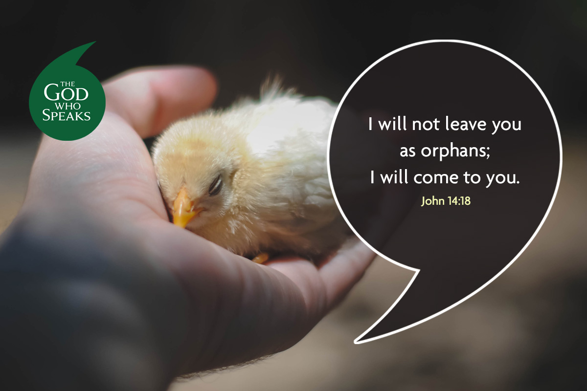 Church Initiatives St Josephs Roman Catholic Primary Goodson Road