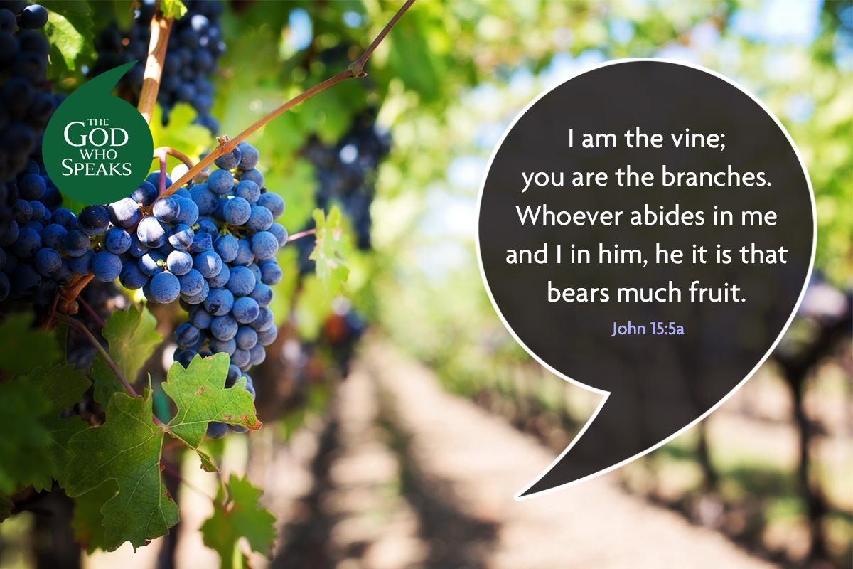 Church Initiatives St Josephs Roman Catholic Primary Goodson Road