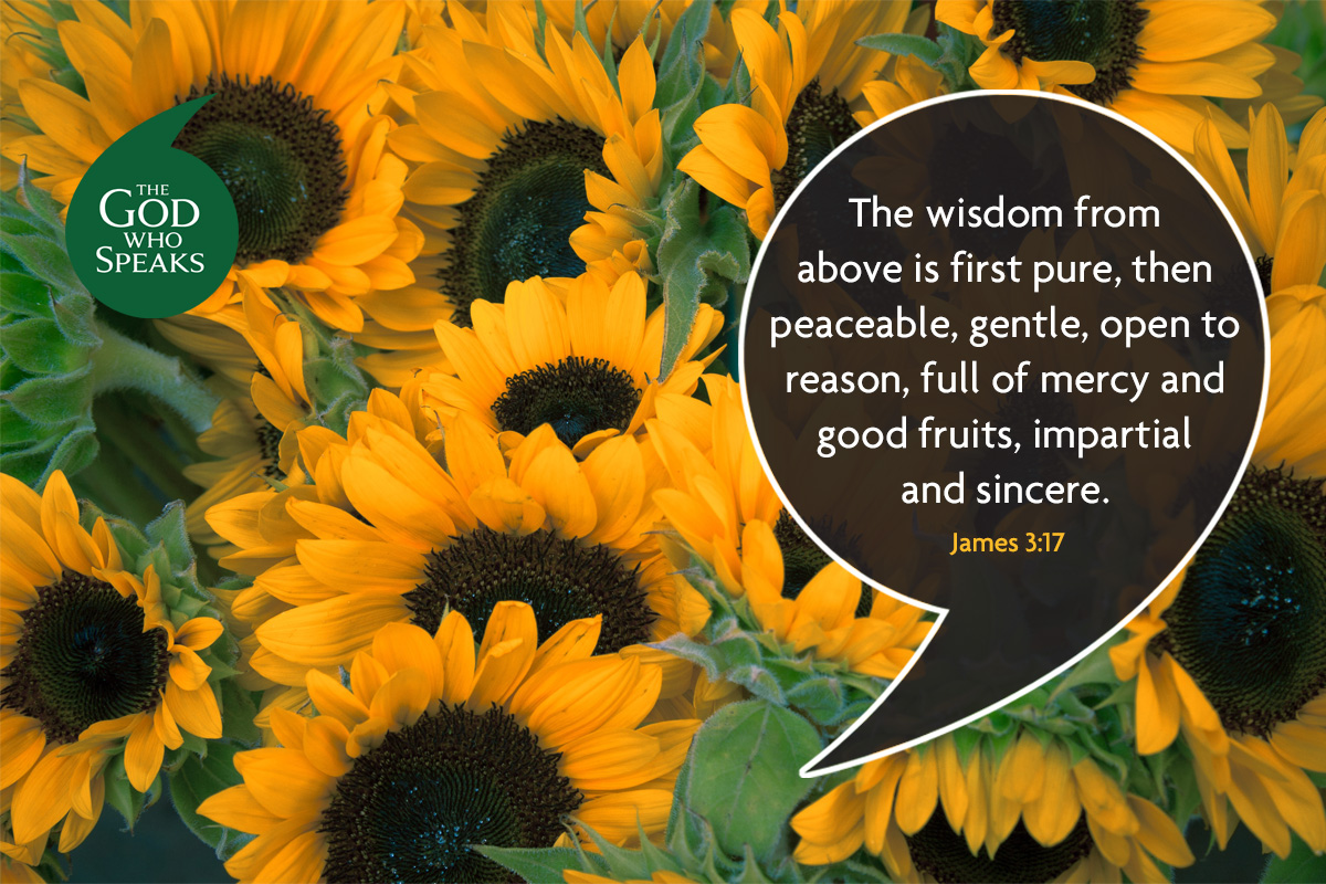 Church Initiatives St Josephs Roman Catholic Primary Goodson Road