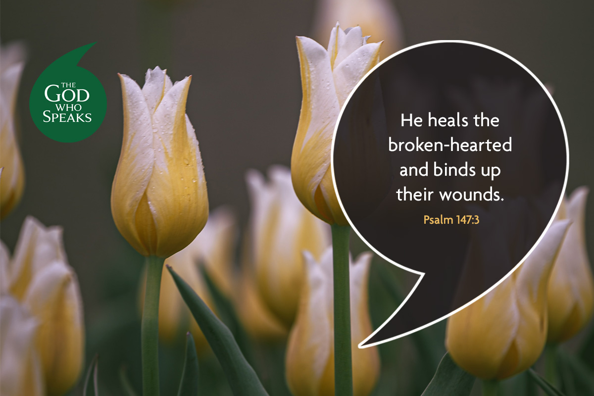 Church Initiatives St Josephs Roman Catholic Primary Goodson Road