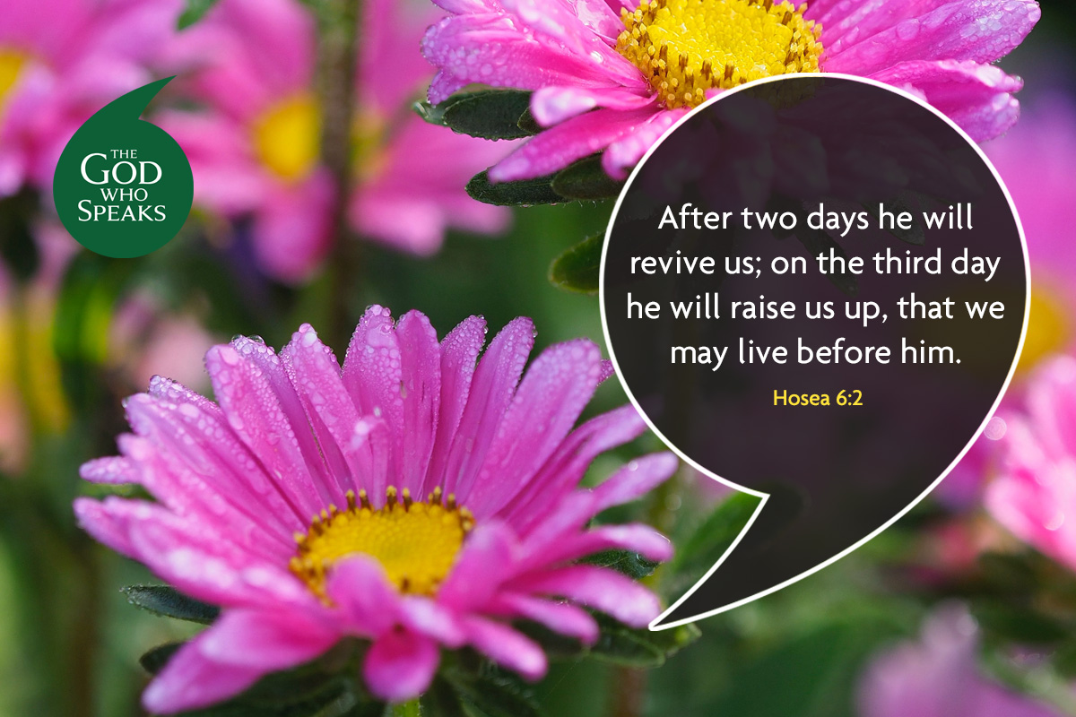 Church Initiatives St Josephs Roman Catholic Primary Goodson Road