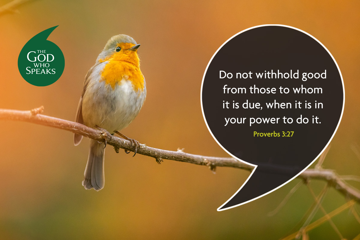 Church Initiatives St Josephs Roman Catholic Primary Goodson Road